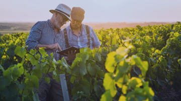 Dois homens em colheita lendo em um iPad sobre agronegócio