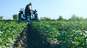 plantação de agronegócio, setor fortemente impactado pelo conflito entre Rússia e Ucrânia