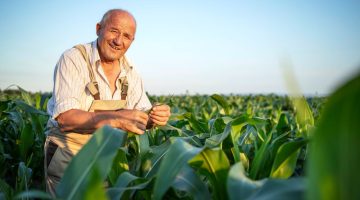 Agricultor em plantação - referência a subvenção para investimentos no agrenegócio