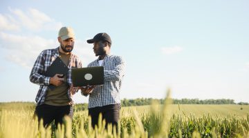 agronegocio: produtores em campo